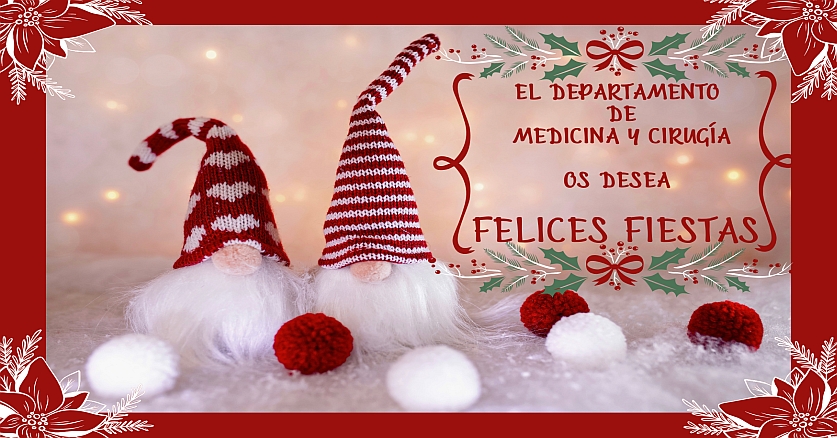 Felices Fiestas